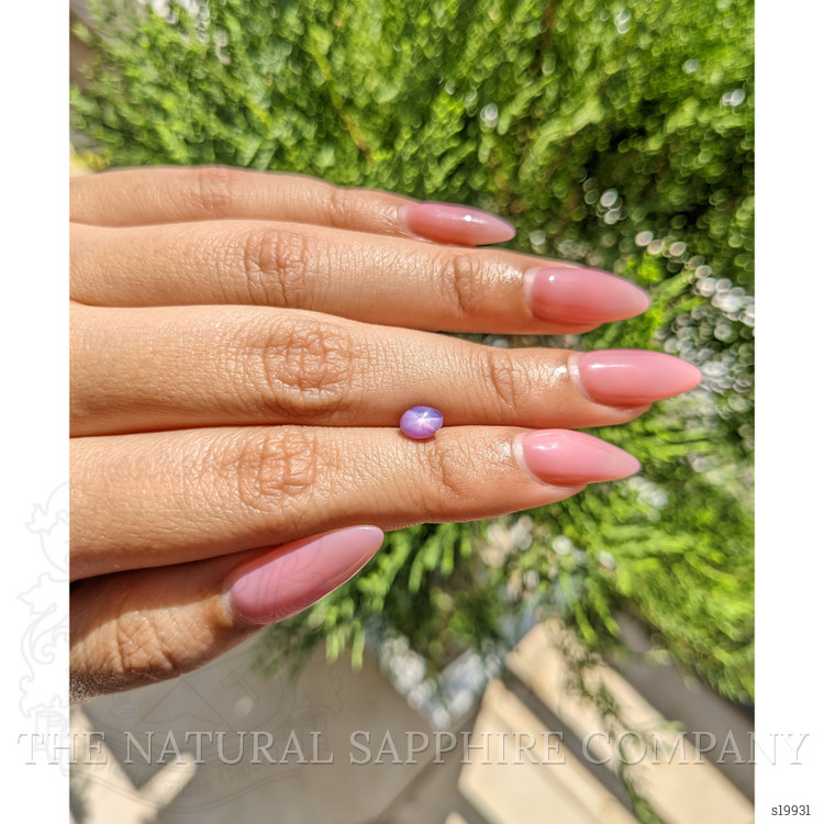 1.23 Ct. Purple Star Sapphire from Ceylon (Sri Lanka)