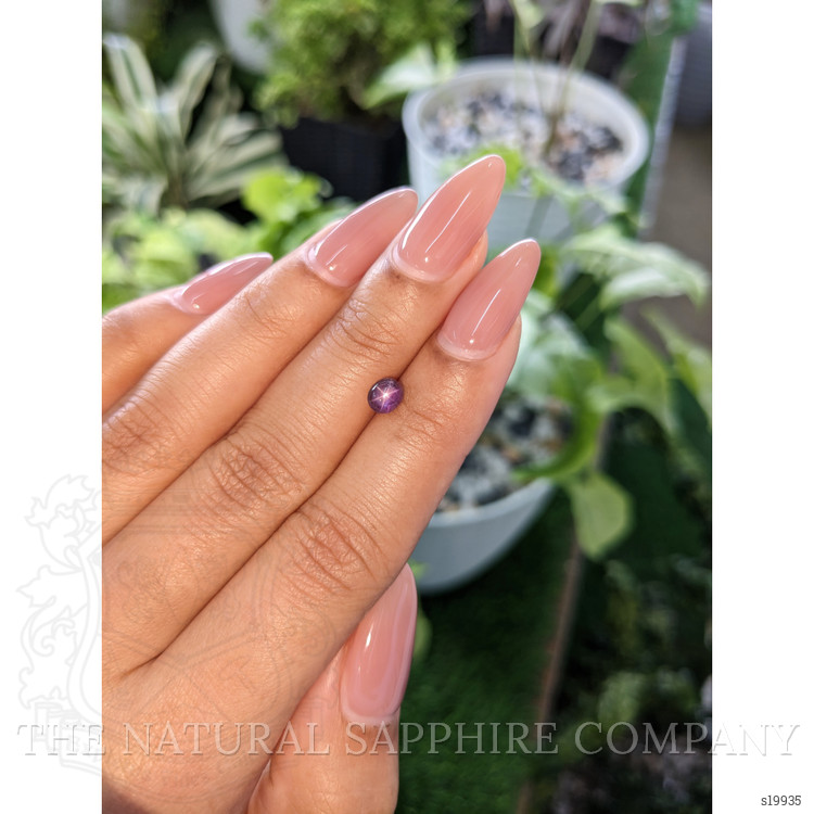 1.22 Ct. Pinkish Purple Star Sapphire from Ceylon (Sri Lanka)