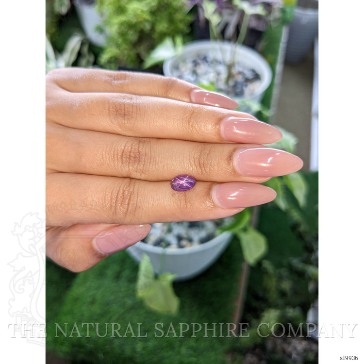 1.77 Ct. Purple Star Sapphire from Ceylon (Sri Lanka)