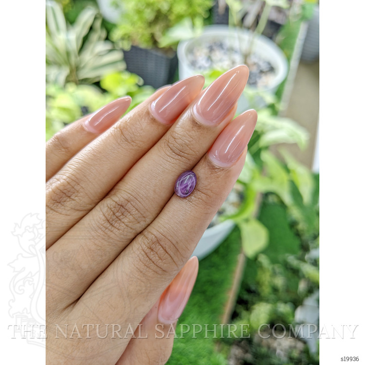 1.77 Ct. Purple Star Sapphire from Ceylon (Sri Lanka)