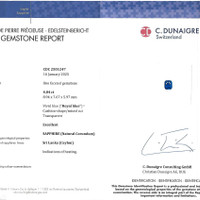 4.04 Ct. Blue Sapphire from Ceylon (Sri Lanka) Scan Report