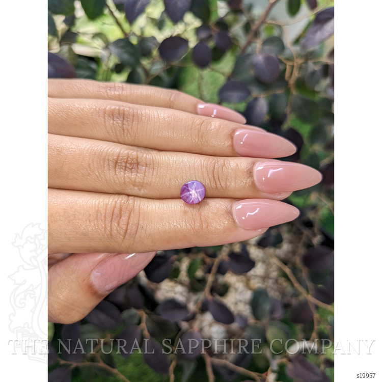 1.83 Ct. Purple Star Sapphire from Ceylon (Sri Lanka)