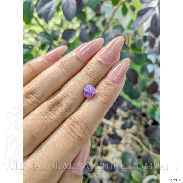 1.83 Ct. Purple Star Sapphire from Ceylon (Sri Lanka)