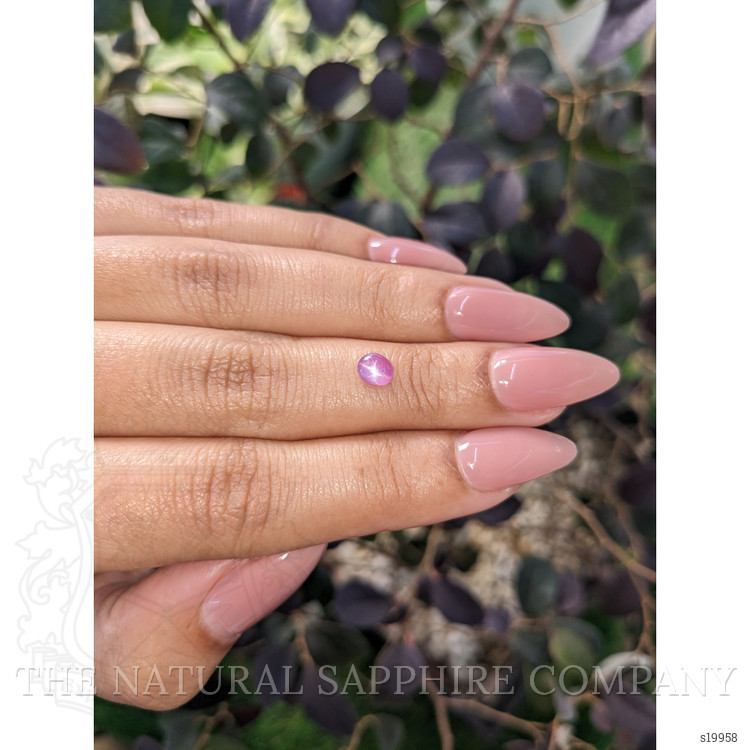 0.56 Ct. Pink Star Sapphire from Ceylon (Sri Lanka)