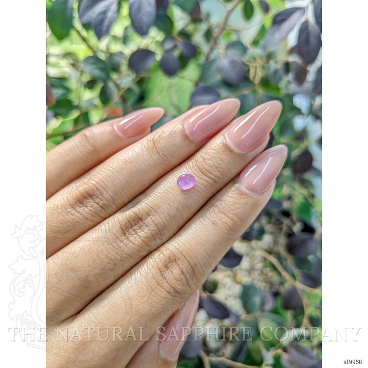 0.56 Ct. Pink Star Sapphire from Ceylon (Sri Lanka)