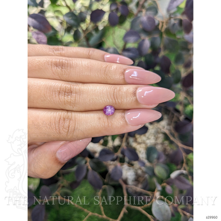 0.95 Ct. Bi Color Star Sapphire from Ceylon (Sri Lanka)