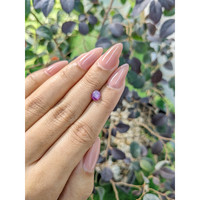 0.95 Ct. Bi Color Star Sapphire from Ceylon (Sri Lanka) Life Style