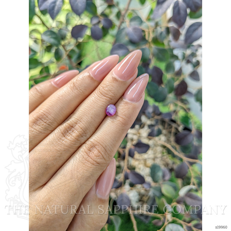 0.95 Ct. Bi Color Star Sapphire from Ceylon (Sri Lanka)