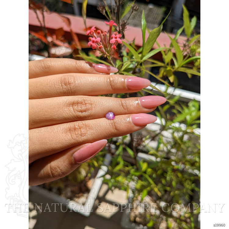 0.95 Ct. Bi Color Star Sapphire from Ceylon (Sri Lanka)