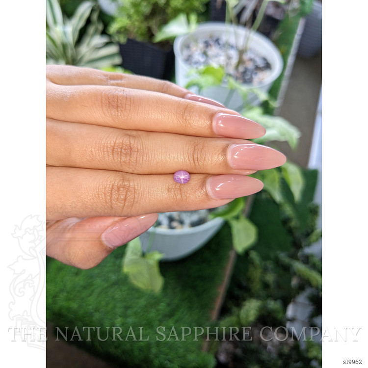 0.83 Ct. Pinkish Purple Star Sapphire from Ceylon (Sri Lanka)