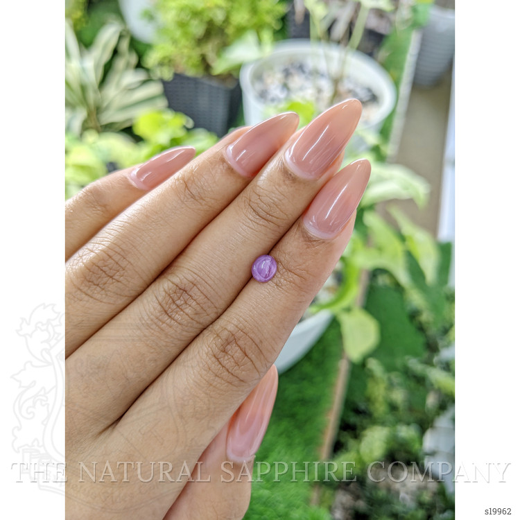 0.83 Ct. Pinkish Purple Star Sapphire from Ceylon (Sri Lanka)