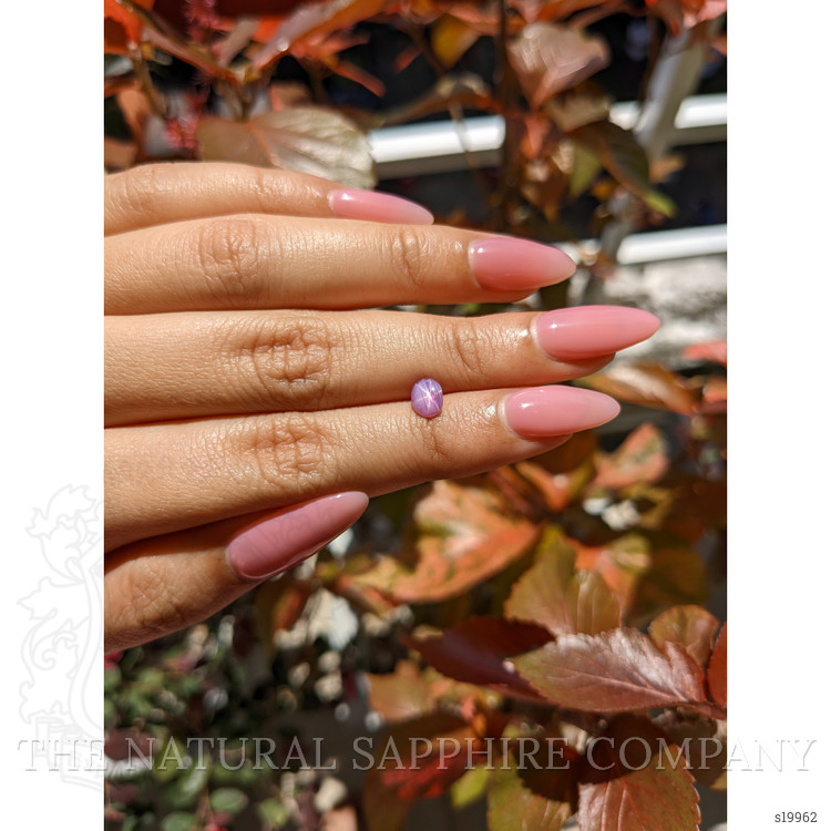 0.83 Ct. Pinkish Purple Star Sapphire from Ceylon (Sri Lanka)