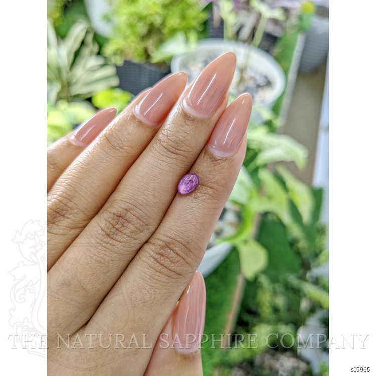 1.28 Ct. Purplish Pink Star Sapphire from Ceylon (Sri Lanka)