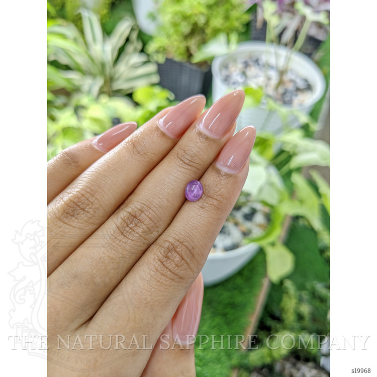 1.35 Ct. Pinkish Purple Star Sapphire from Ceylon (Sri Lanka)