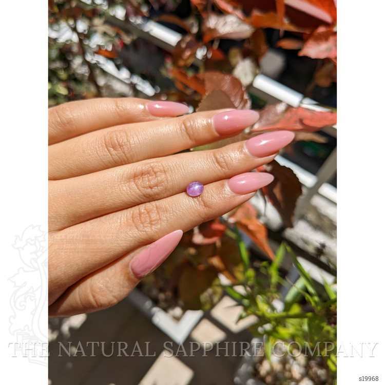 1.35 Ct. Pinkish Purple Star Sapphire from Ceylon (Sri Lanka)