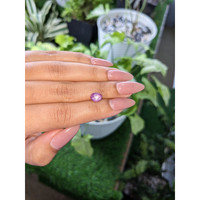 1.62 Ct. Pinkish Purple Star Sapphire from Ceylon (Sri Lanka) Life Style