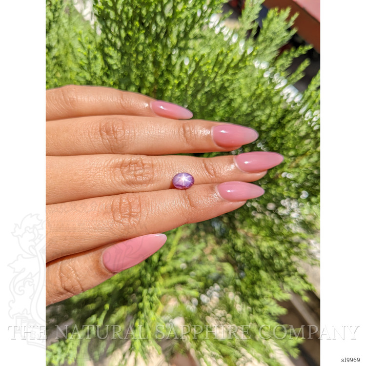 1.62 Ct. Pinkish Purple Star Sapphire from Ceylon (Sri Lanka)