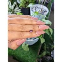 1.73 Ct. Purple Star Sapphire from Ceylon (Sri Lanka) Life Style