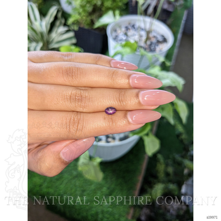 1.73 Ct. Purple Star Sapphire from Ceylon (Sri Lanka)