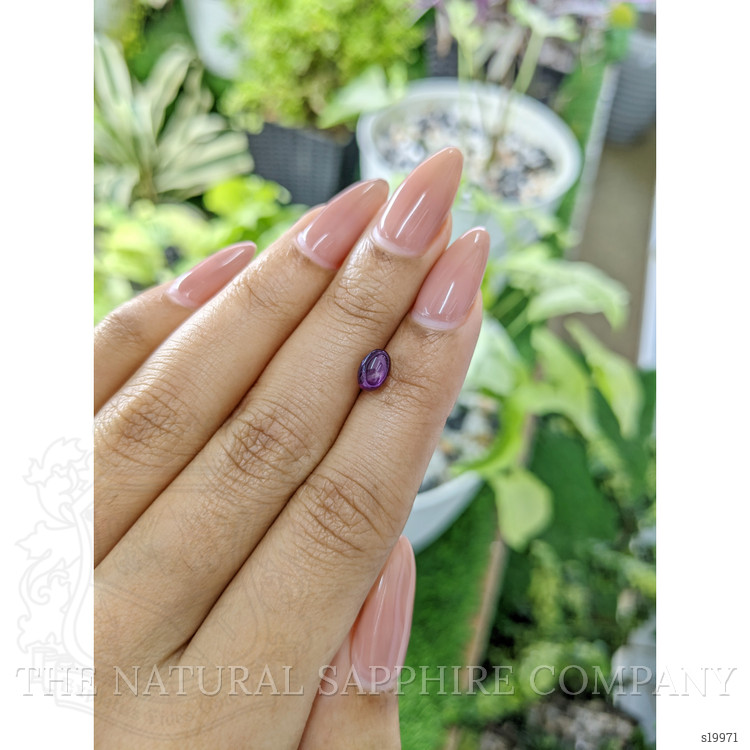1.73 Ct. Purple Star Sapphire from Ceylon (Sri Lanka)