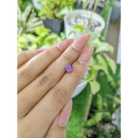 2.46 Ct. Purple Star Sapphire from Ceylon (Sri Lanka) Life Style