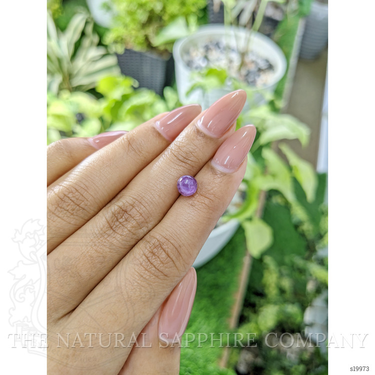 2.46 Ct. Purple Star Sapphire from Ceylon (Sri Lanka)