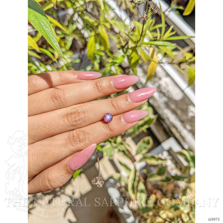 2.46 Ct. Purple Star Sapphire from Ceylon (Sri Lanka)