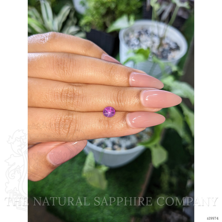 1.96 Ct. Purple Star Sapphire from Ceylon (Sri Lanka)
