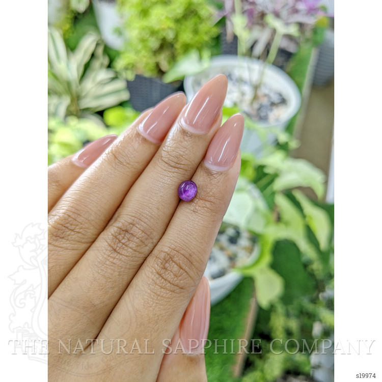 1.96 Ct. Purple Star Sapphire from Ceylon (Sri Lanka)
