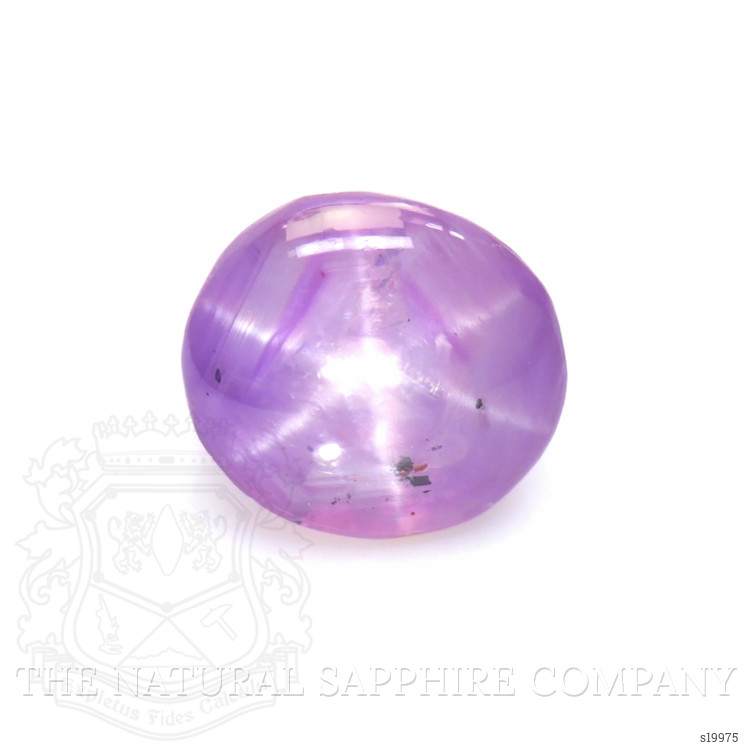 1.79 Ct. Purple Star Sapphire from Ceylon (Sri Lanka)