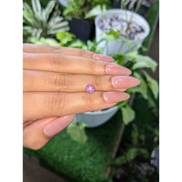 1.79 Ct. Purple Star Sapphire from Ceylon (Sri Lanka) Life Style