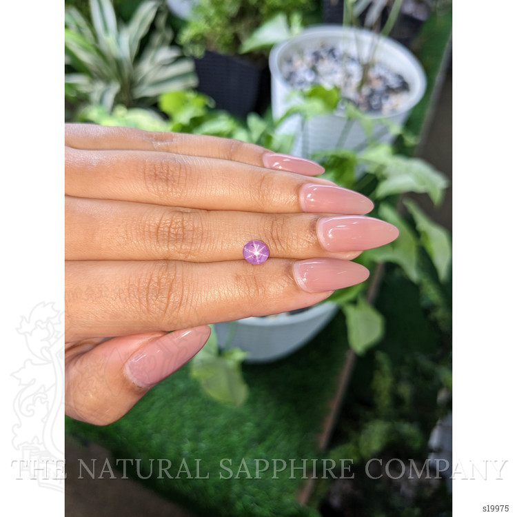1.79 Ct. Purple Star Sapphire from Ceylon (Sri Lanka)