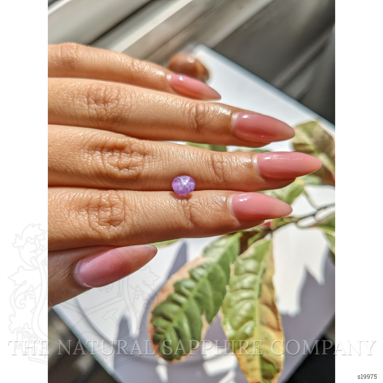 1.79 Ct. Purple Star Sapphire from Ceylon (Sri Lanka)