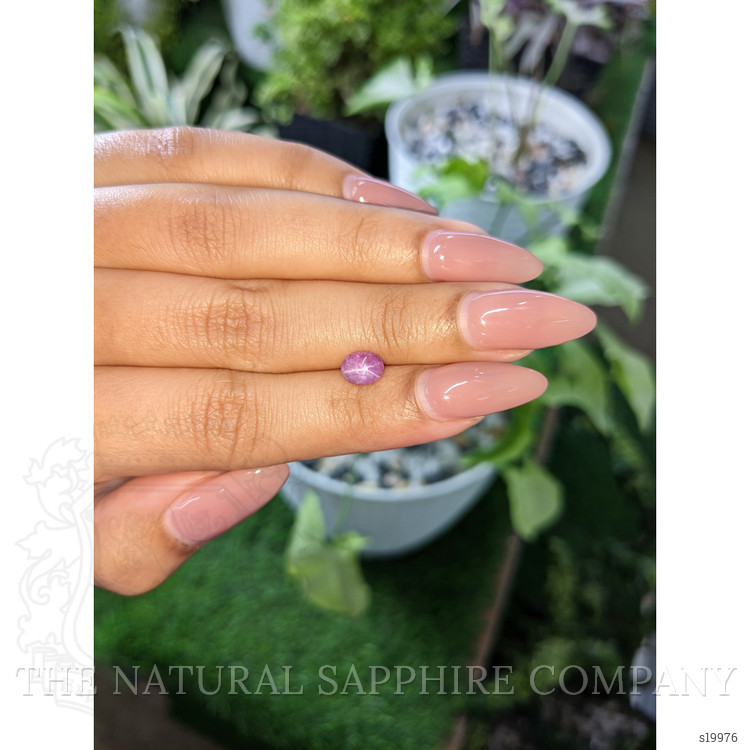 1.22 Ct. Purple Star Sapphire from Ceylon (Sri Lanka)