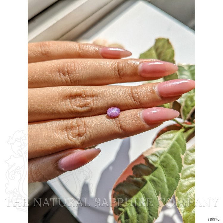 1.22 Ct. Purple Star Sapphire from Ceylon (Sri Lanka)