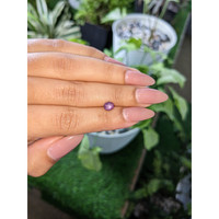 1.23 Ct. Purple Star Sapphire from Ceylon (Sri Lanka) Life Style