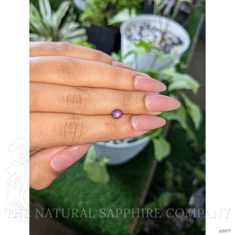 1.23 Ct. Purple Star Sapphire from Ceylon (Sri Lanka)