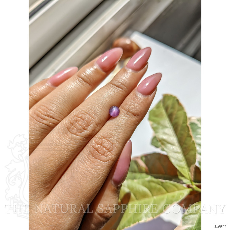 1.23 Ct. Purple Star Sapphire from Ceylon (Sri Lanka)