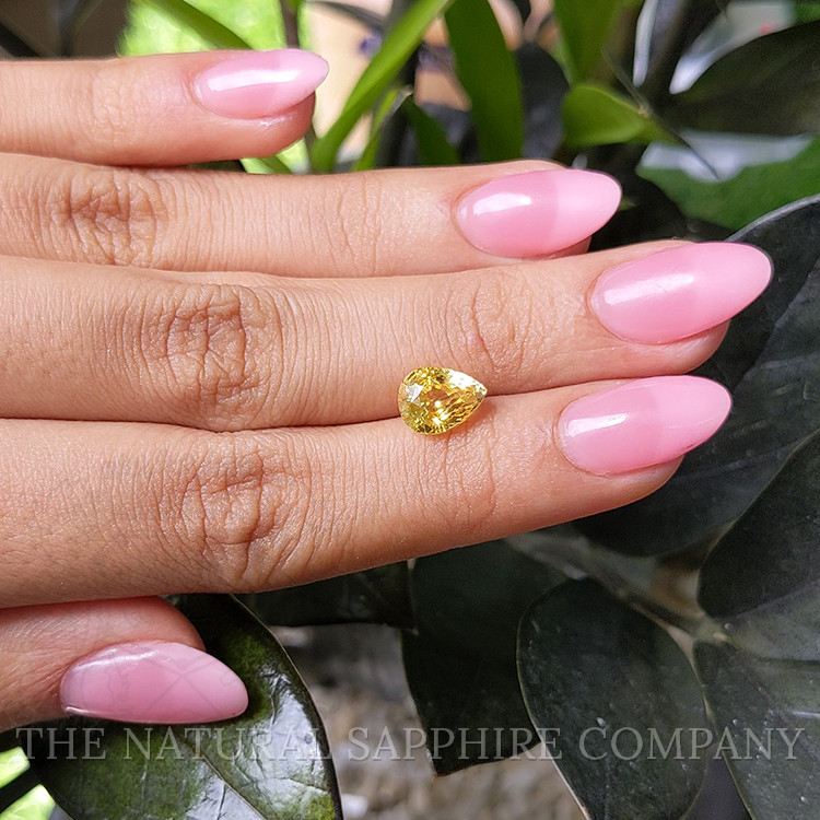 3.00 Ct. Yellow Sapphire from Ceylon (Sri Lanka)