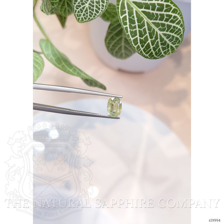 2.19 Ct. Yellowish Green Sapphire from Ceylon (Sri Lanka)