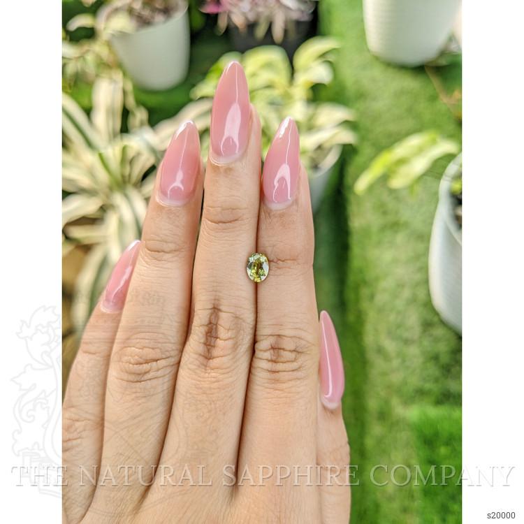 0.85 Ct. Yellowish Green Sapphire from Australia