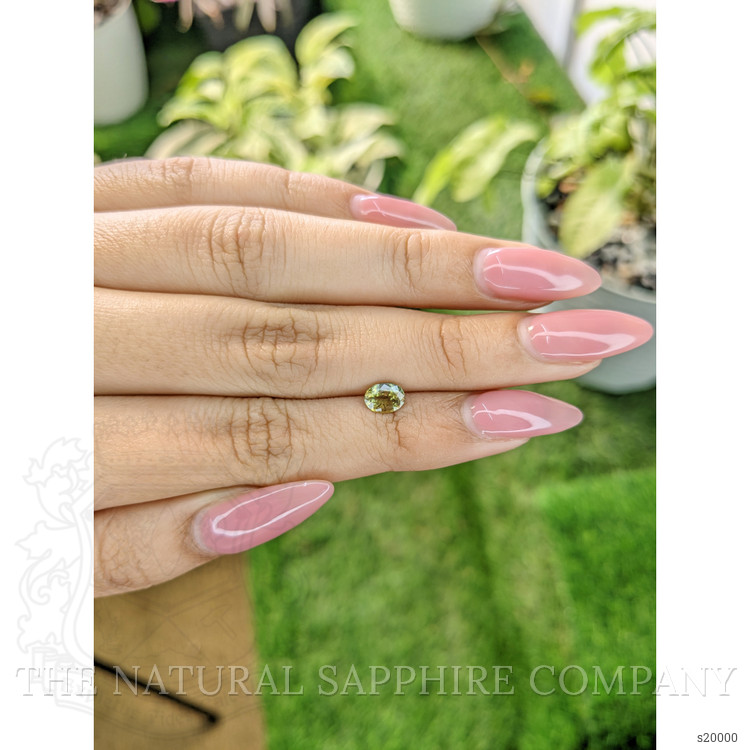 0.85 Ct. Yellowish Green Sapphire from Australia