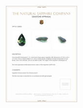 Jewelry Appraisal