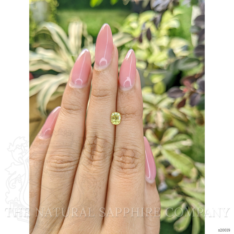 0.76 Ct. Yellow Sapphire from Ceylon (Sri Lanka)