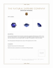 2.60 Ct. Blue Sapphire from Ceylon (Sri Lanka) Appraisal