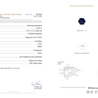2.60 Ct. Blue Sapphire from Ceylon (Sri Lanka) Pdf