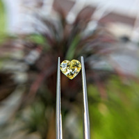 1.51 Ct. Yellow Sapphire from Ceylon (Sri Lanka) Life Style