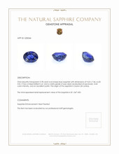3.78 Ct. Blue Sapphire from Ceylon (Sri Lanka) Appraisal