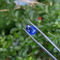3.02 Ct. Blue Sapphire from Ceylon (Sri Lanka) Life Style