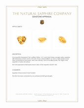 2.57 Ct. Orangish Yellow Sapphire from Ceylon (Sri Lanka) Appraisal